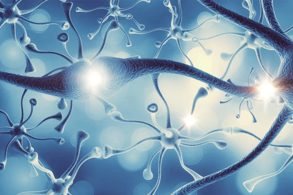 difference between fibromyalgia vs multiple sclerosis symptoms