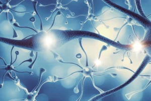 difference between fibromyalgia vs multiple sclerosis symptoms